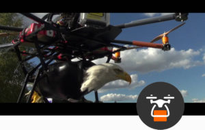skydrone transport objet par drone