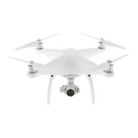 skydrone_location_drone_phantom-4